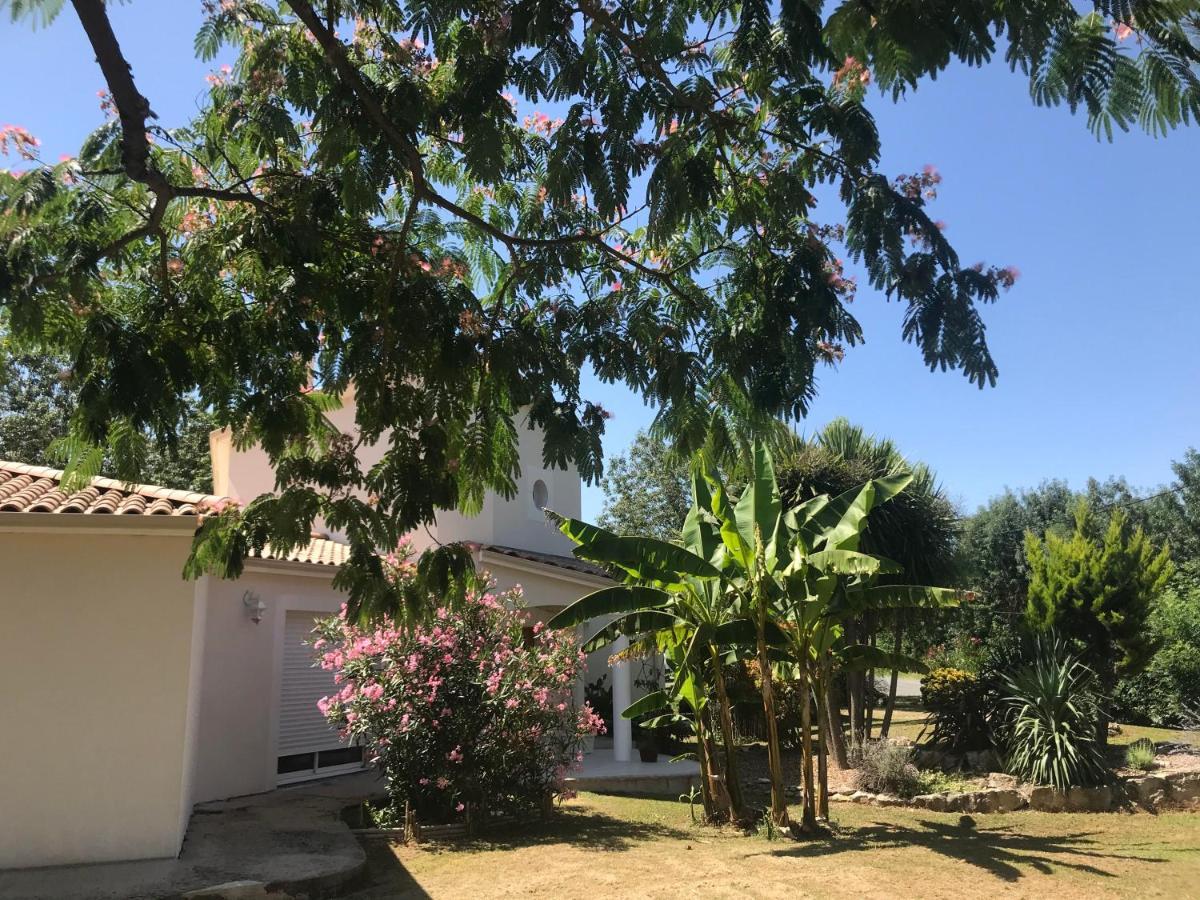 Casa Upupa Bed & Breakfast *